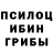 Псилоцибиновые грибы мицелий Ix:Risor