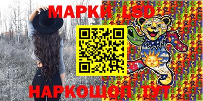 мдпв Можга