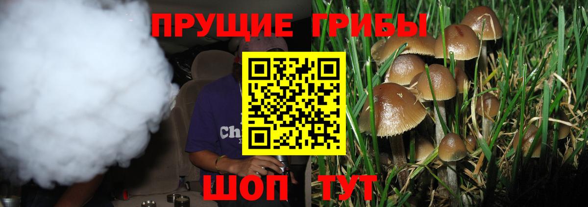 Галлюциногенные грибы Psilocybine cubensis  Вход с VPN  Тайшет  Псилоцибиновые грибы ЛСД 